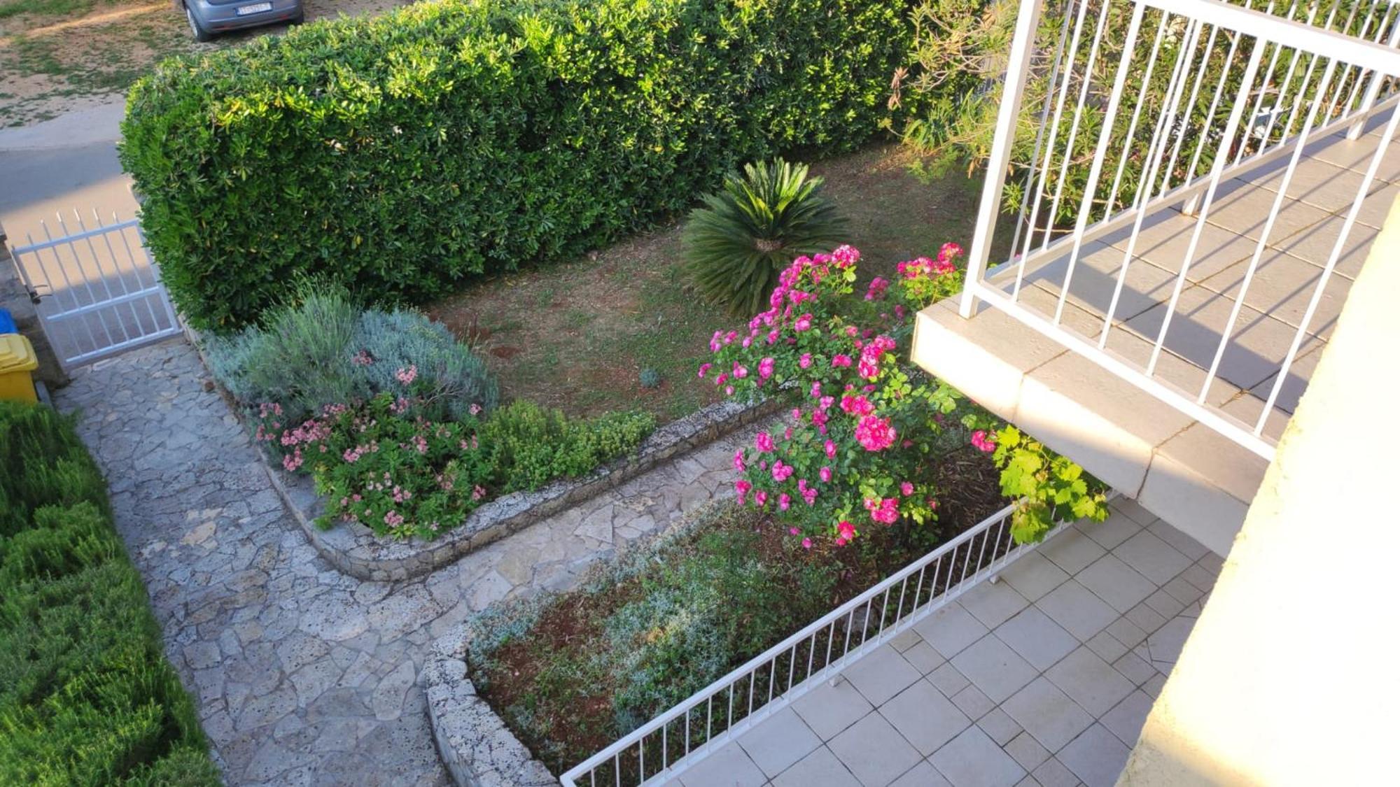 Alka Hvar